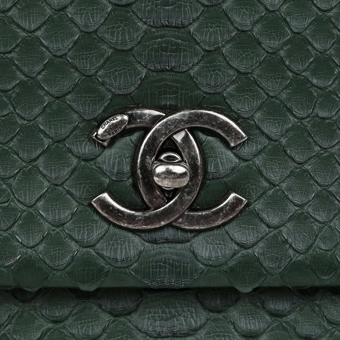 Pre-owned Chanel Medium Coco Handle Flap Bag Dark Green Python Ruthenium Hardware