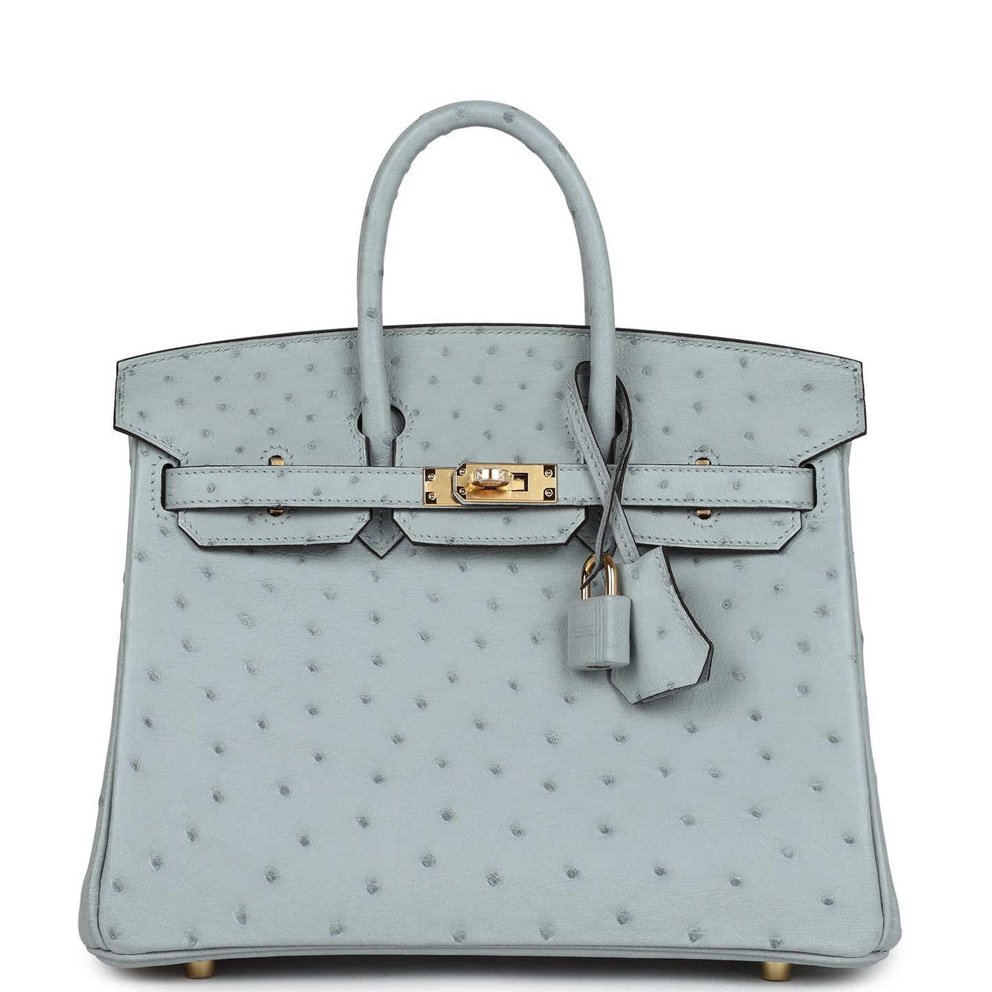 Hermes Birkin 25 Bleu Glacier Ostrich Gold Hardware