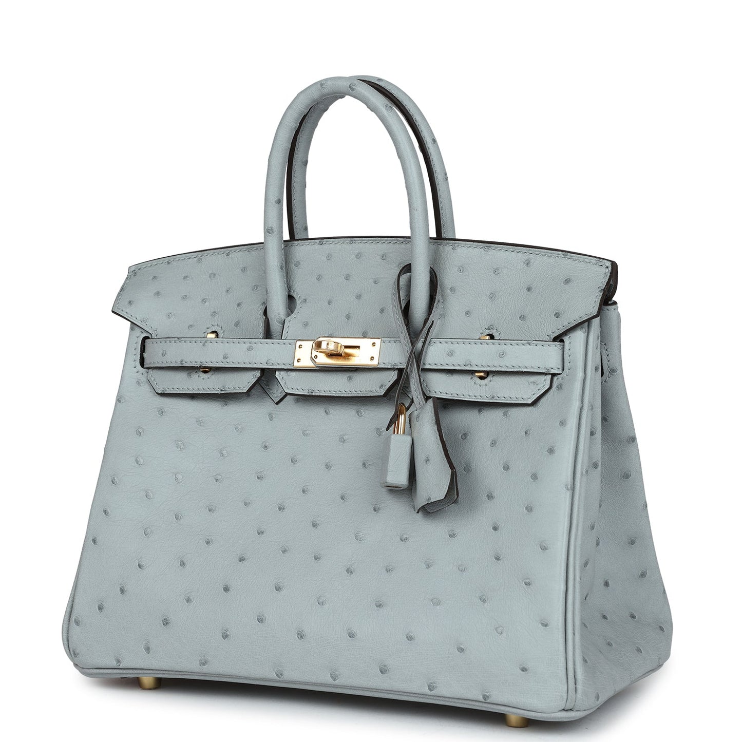 Hermes Birkin 25 Bleu Glacier Ostrich Gold Hardware