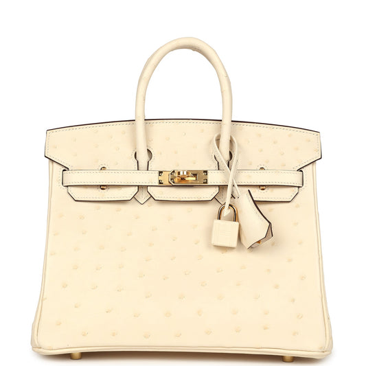 Hermes Birkin 25 Nata Ostrich Gold Hardware