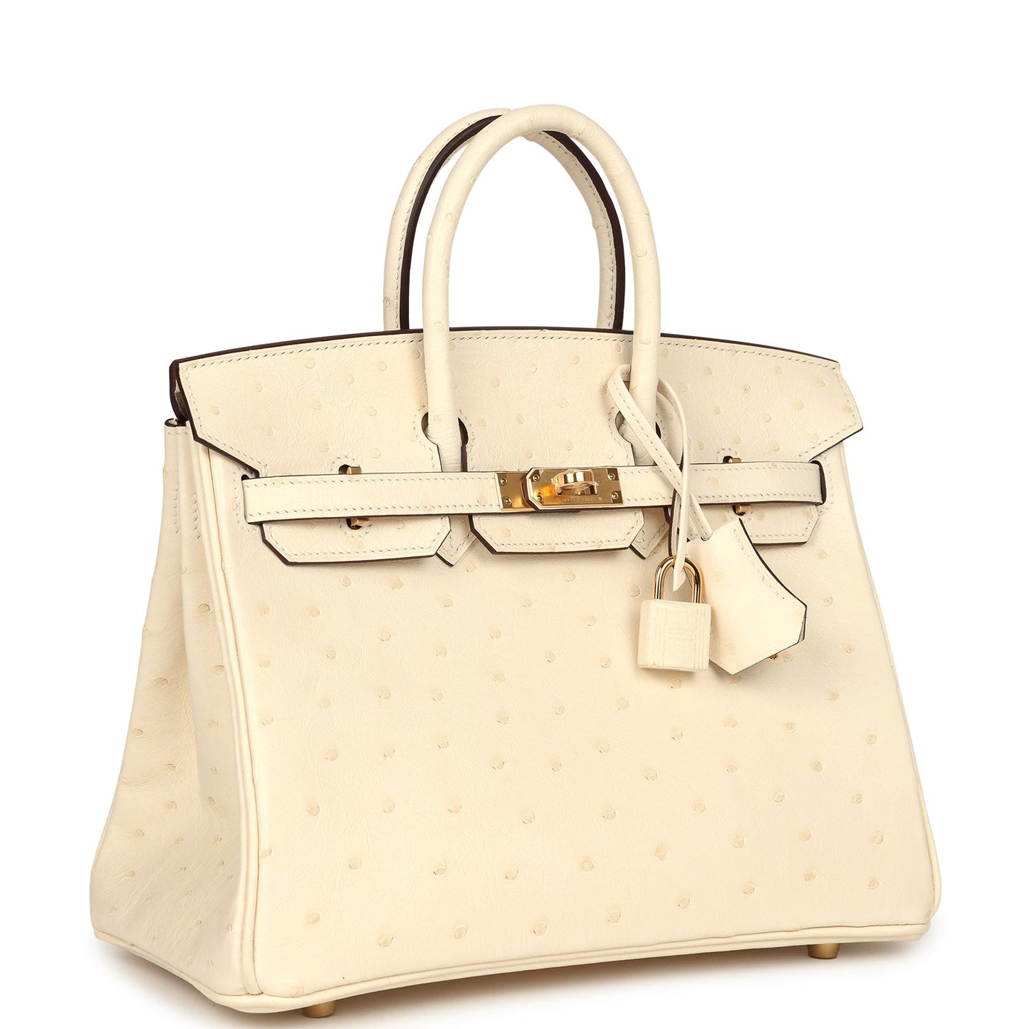 Hermes Birkin 25 Nata Ostrich Gold Hardware