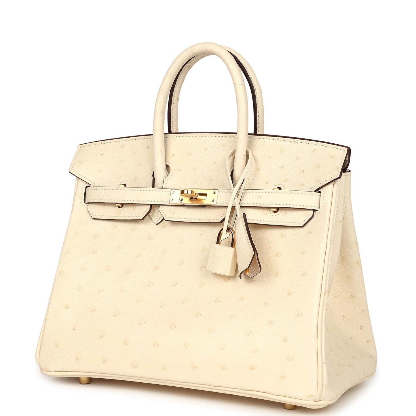 Hermes Birkin 25 Nata Ostrich Gold Hardware