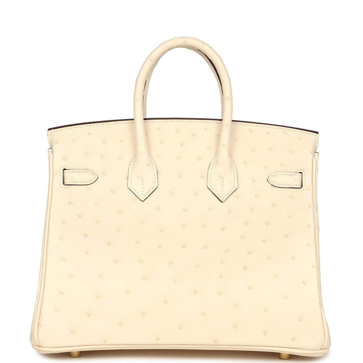 Hermes Birkin 25 Nata Ostrich Gold Hardware