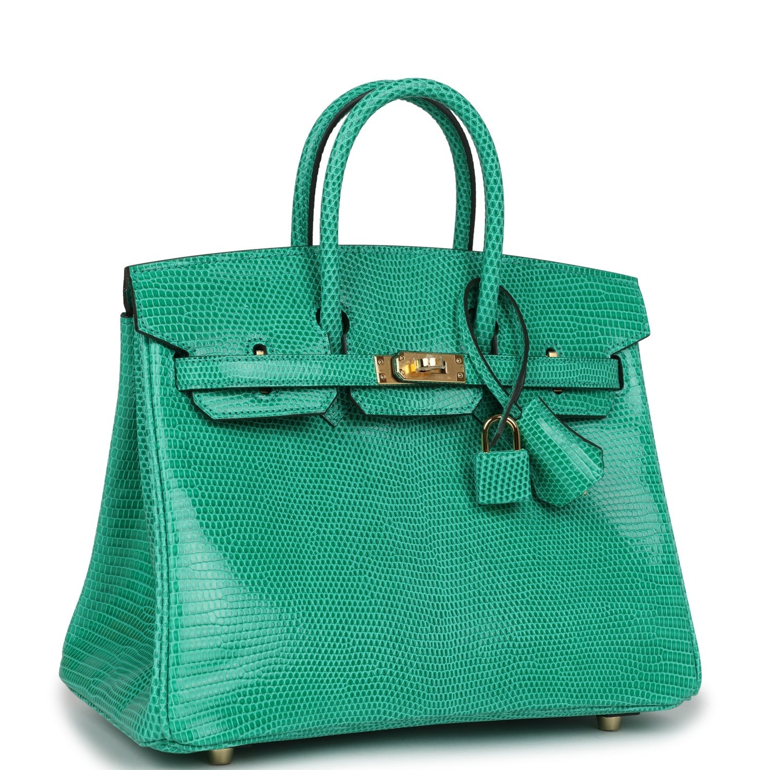 Hermes Birkin 25 Menthe Varanus Niloticus Lizard Gold Hardware - Bob Flawless Skincare 