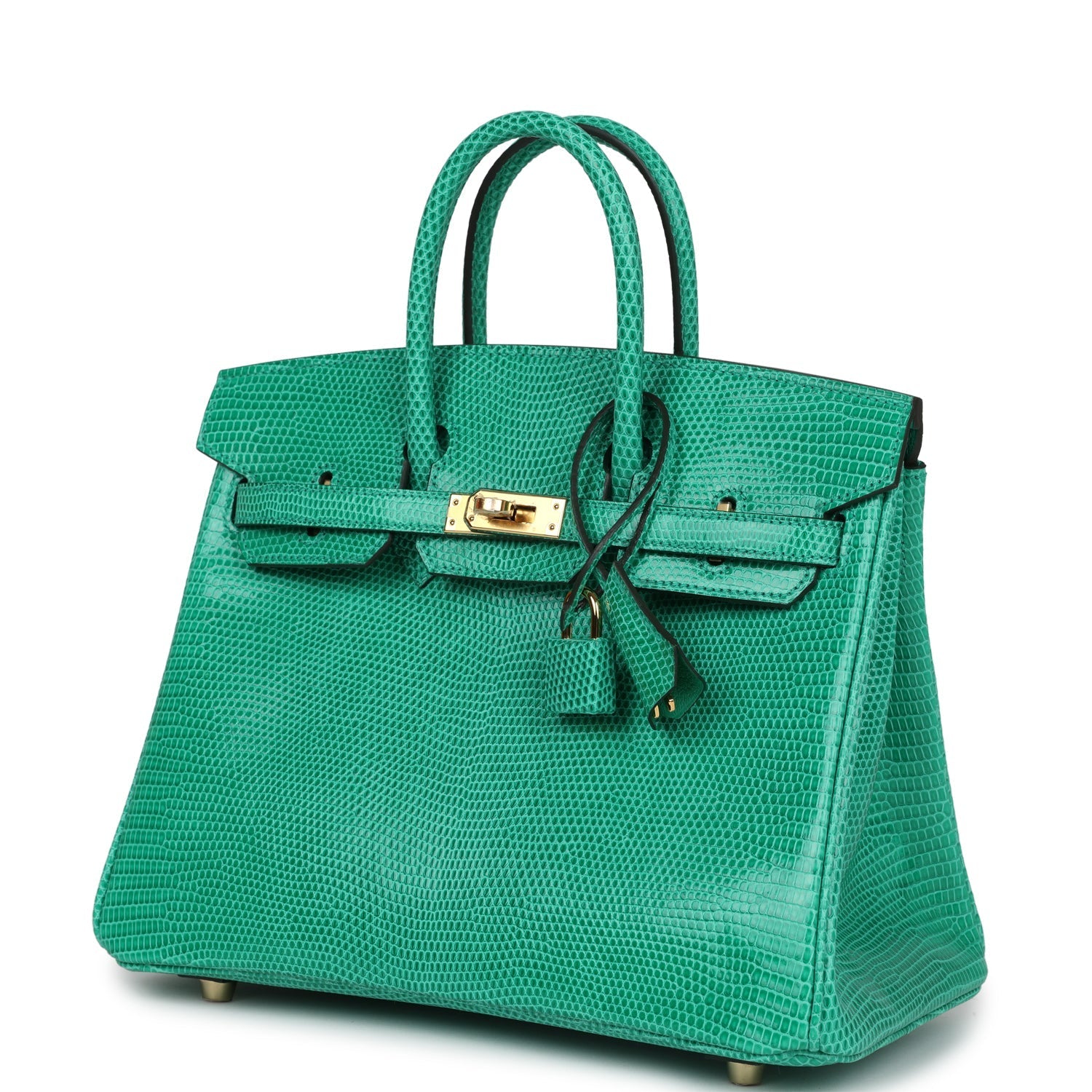 Hermes Birkin 25 Menthe Varanus Niloticus Lizard Gold Hardware - Bob Flawless Skincare 