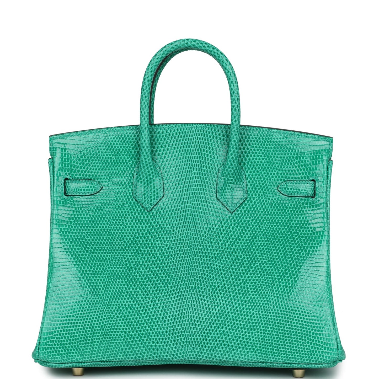 Hermes Birkin 25 Menthe Varanus Niloticus Lizard Gold Hardware - Bob Flawless Skincare 