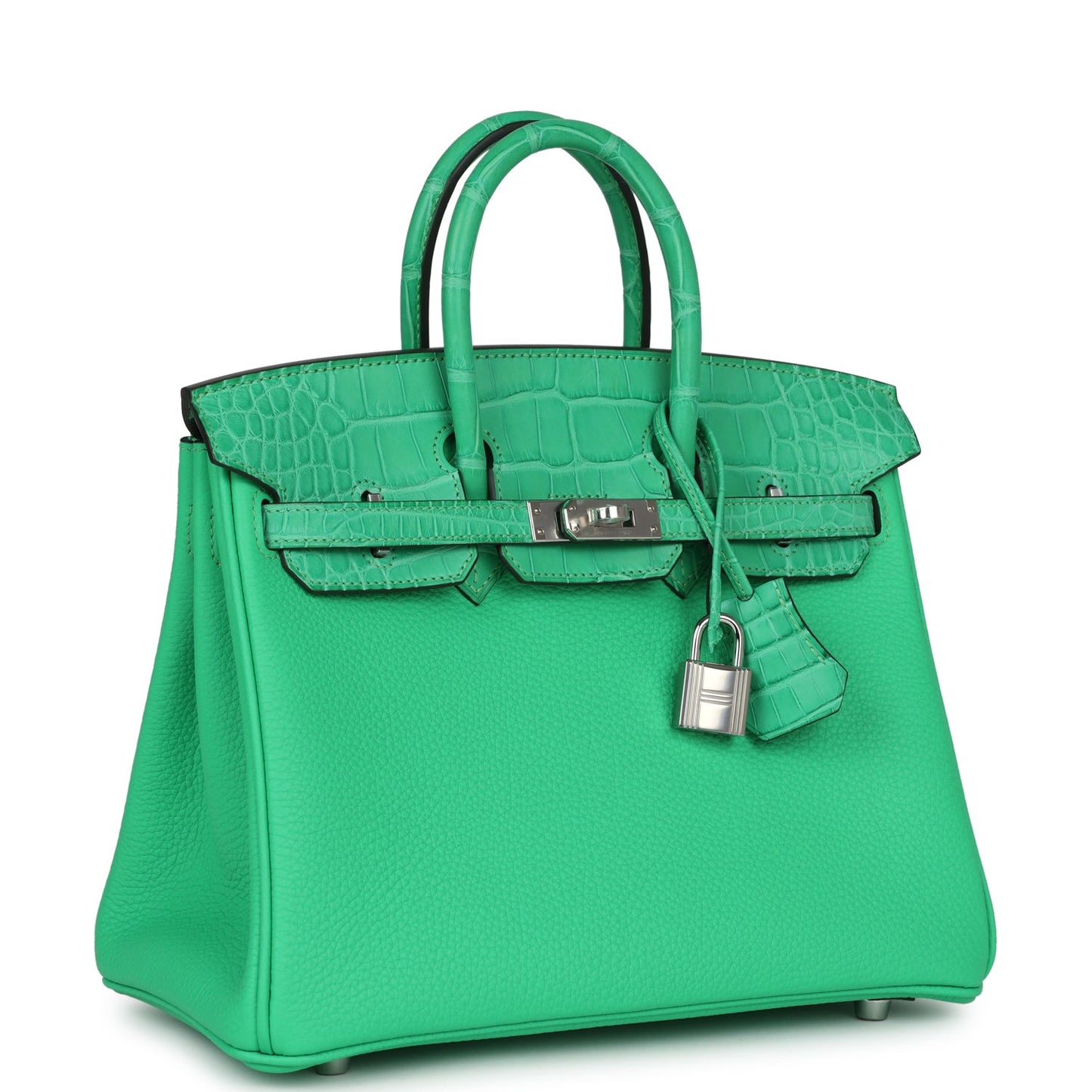 Hermes Birkin 25 Vert Comics Togo and Matte Alligator Touch Palladium Hardware - Bob Flawless Skincare 