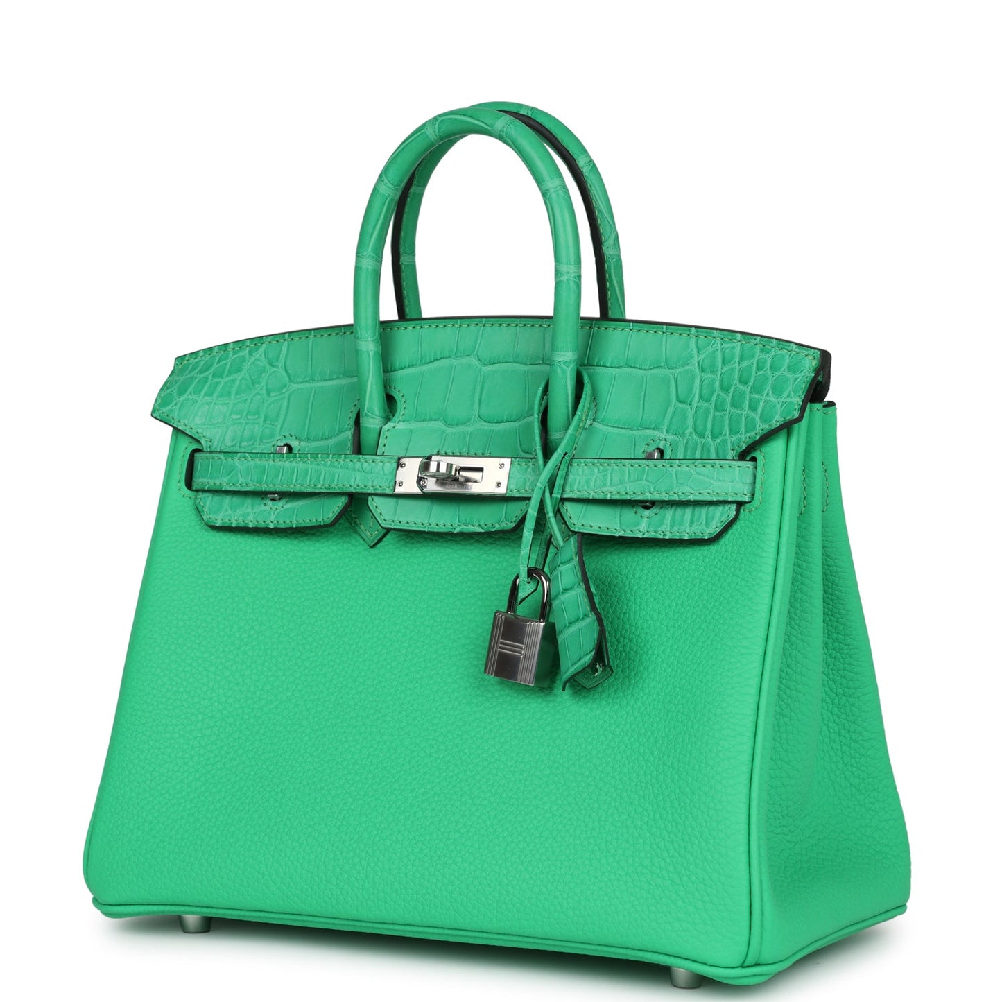 Hermes Birkin 25 Vert Comics Togo and Matte Alligator Touch Palladium Hardware - Bob Flawless Skincare 