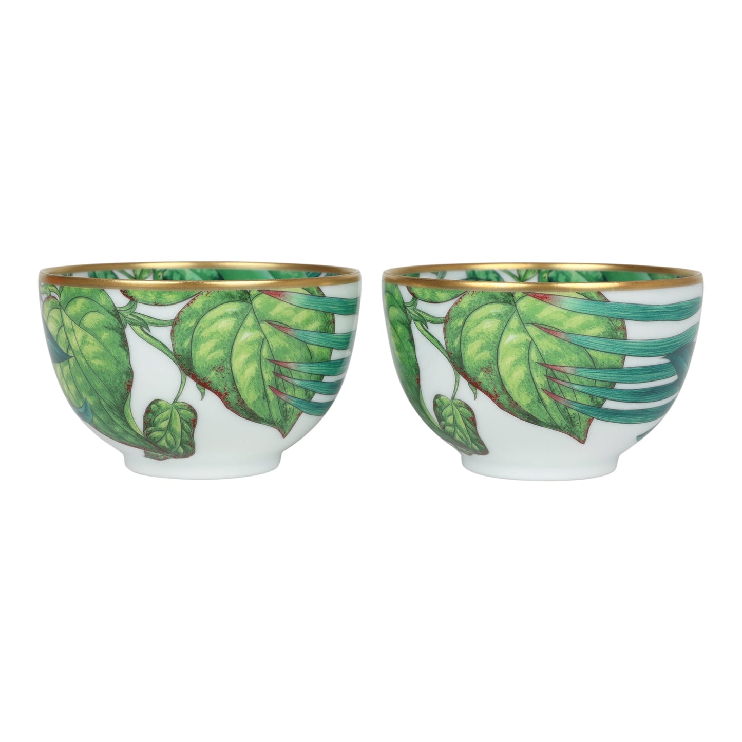 Hermes Passifolia Porcelain Breakfast Cup and Saucer Set Green & White 24K Gold & Porcelain